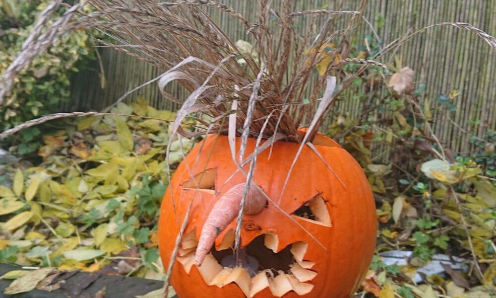 Scarecrow Pumpkin 241020